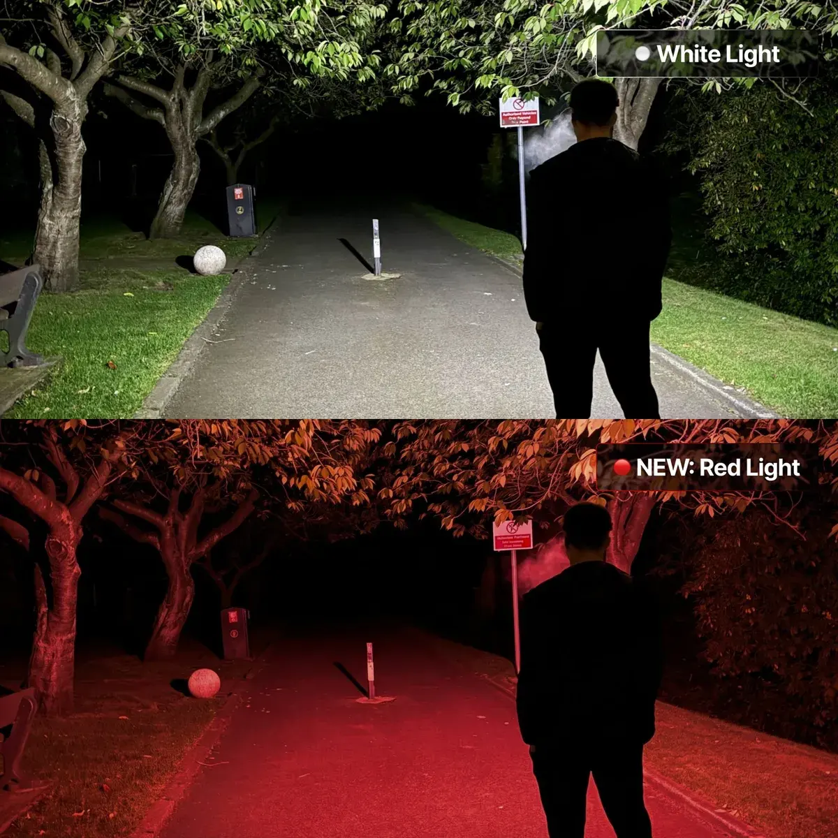Faisceau blanc et rouge de nuit sur un chemin
